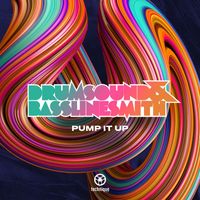 Drumsound & Bassline Smith - Pump It Up