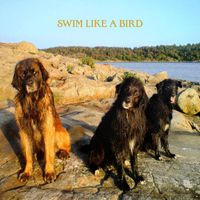 Ebbot Lundberg - Swim Like a Bird
