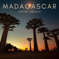 Airport Groove - Madagascar (Explicit)