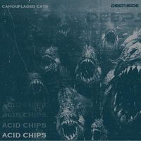 Camouflaged Cats - Acid Chips
