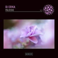 DJ Erika - Paliessie