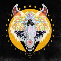 5th Projekt - The Wolf