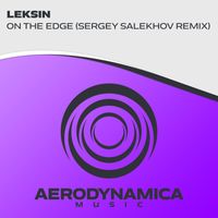 LekSin - On The Edge (Sergey Salekhov Remix)