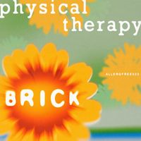Physical Therapy - Brick
