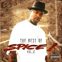 SPICE 1 - The Best of Spice 1, Vol. 2