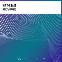 Hit The Bass - Polymorphic