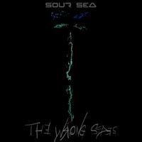The Wrong Sides - Sour Sea