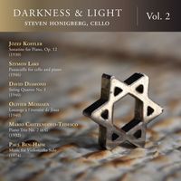 Steven Honigberg - Darkness & Light, Vol. 2