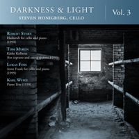 Steven Honigberg - Darkness & Light, Vol. 3