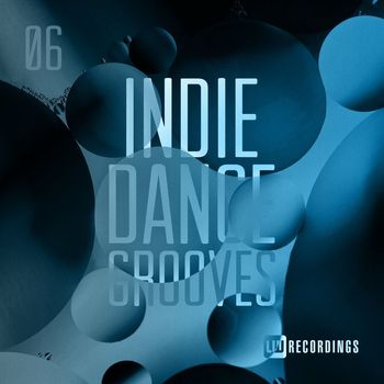 Various Artists - Indie Dance Grooves, Vol. 06