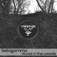 Betagamma - Rituals in the Woods