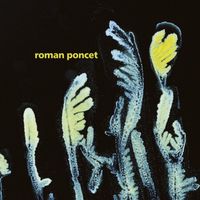 Roman Poncet - Gypsophila