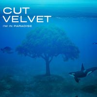 Cut Velvet - I'm in Paradise