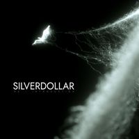 Silverdollar - Re-Introduction