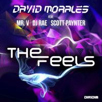 David Morales - The Feels