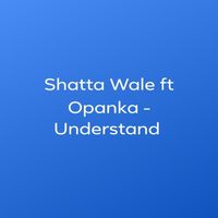 Shatta Wale - Understand (feat. Opanka)