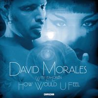 David Morales - How Would U Feel