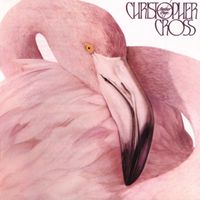 Christopher Cross - Another Page (2019 Remaster)