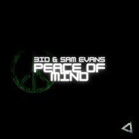 3ID featuring Sam Evans - Peace of mind