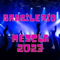 DJ Fresh - Brasilerio Mezcla 2023
