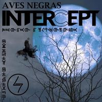 Intercept - Aves Negras