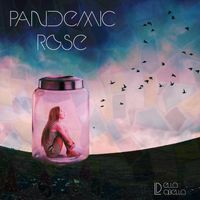 Della Labella - Pandemic Rose