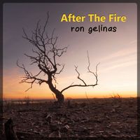 Ron Gelinas - After the Fire