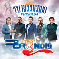 Grupo Bryndis - Tu Recuerdo Princesa
