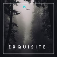 Tavia - Exquisite