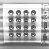 Daniel Steinfels - Durch Die Bassline