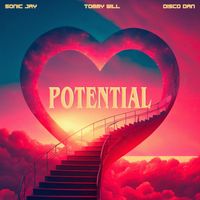 Sonic Jay - Potential