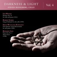 Steven Honigberg - Darkness & Light, Vol. 4