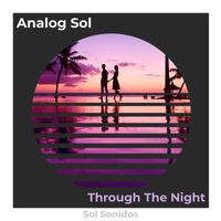 Analog Sol - Through The Night