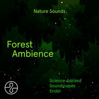 Endel - Nature Sounds: Forest Ambience