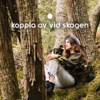 Avslappning ljud klubb - Koppla av vid Skogen: Lugnande ljud Från Naturen och Fåglar