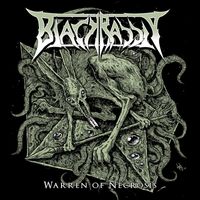 Black Rabbit - Warren of Necrosis (Explicit)