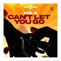 Mr. S - Can't Let You Go