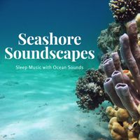 Oceanscapes - Seashore Soundscapes - Sleep Music with Ocean Sounds