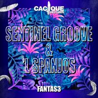 Sentinel Groove - Fantas3