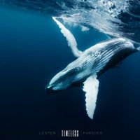 Lester Paredes - Timeless