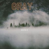 Mister D - Gray