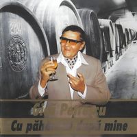 Gica Petrescu - Cu paharelul dupa mine