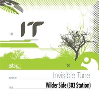 Invisible Tune - Wilder Side (303 Station)