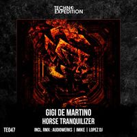 Gigi de Martino - Horse Tranquilizer