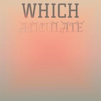 Various Artists - Which Aciculate