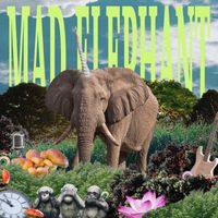 Mad Elephant - Spelling Bee
