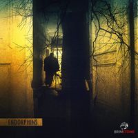 Brimstone - Endorphin (feat. Deep Silencio)