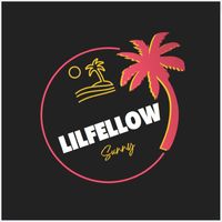 lil'fellow - Sunny
