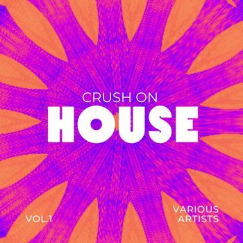 Various Artists - Crush On House, Vol. 1 (Explicit)