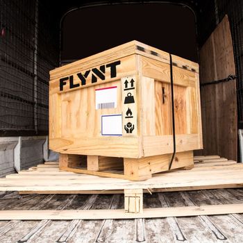 FLYNT - OEUVRESDART